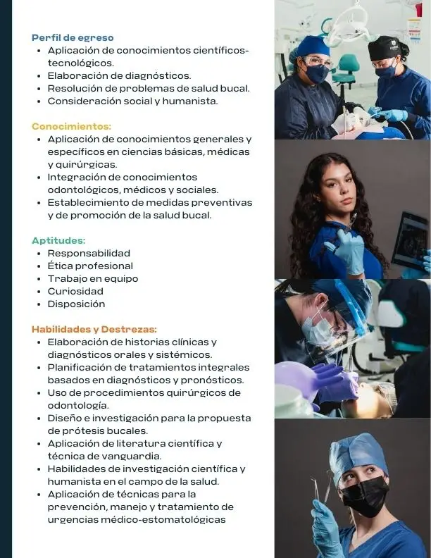 Caso de éxito - CEUS Universidad - Educación empresarial y humanista 3 Tinylab_caso_exito_ceus_universidad_portafolio (3)