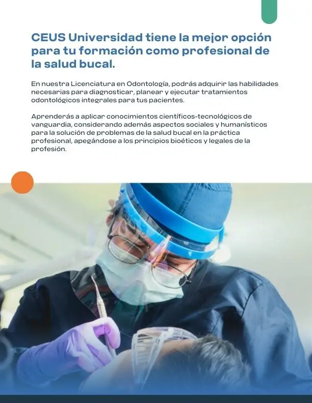 Caso de éxito - CEUS Universidad - Educación empresarial y humanista 5 Tinylab_caso_exito_ceus_universidad_portafolio (5)