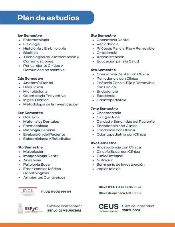 Caso de éxito - CEUS Universidad - Educación empresarial y humanista 6 Tinylab_caso_exito_ceus_universidad_portafolio (6)