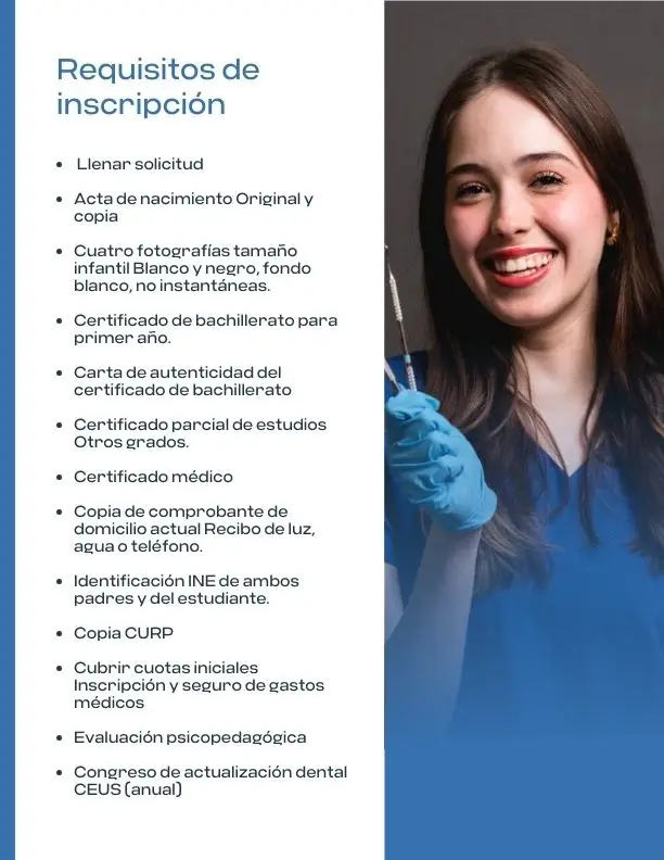Caso de éxito - CEUS Universidad - Educación empresarial y humanista 9 Tinylab_caso_exito_ceus_universidad_portafolio (9)