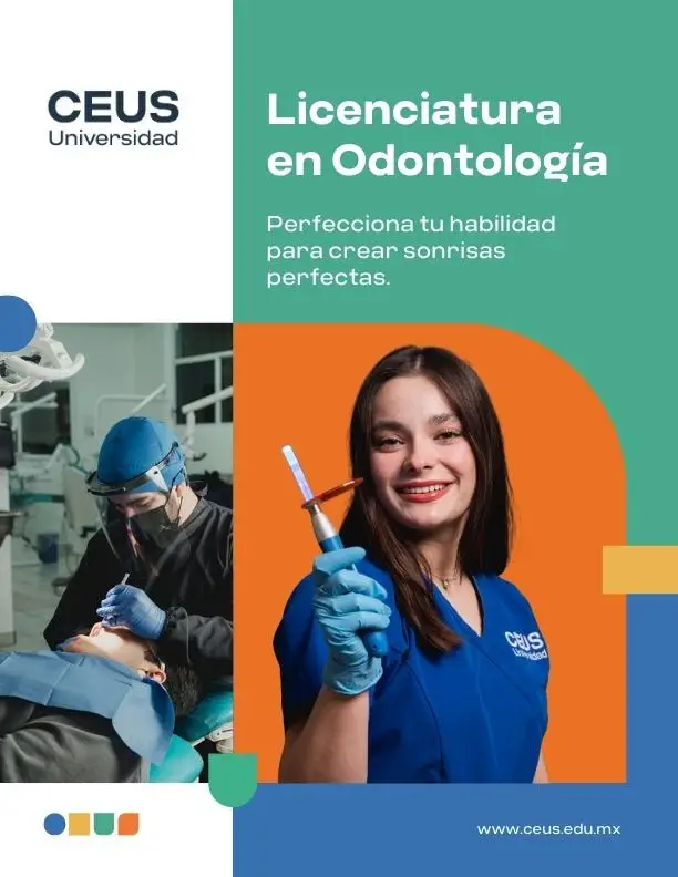 Caso de éxito - CEUS Universidad - Educación empresarial y humanista 1 Tinylab_caso_exito_ceus_universidad_portafolio