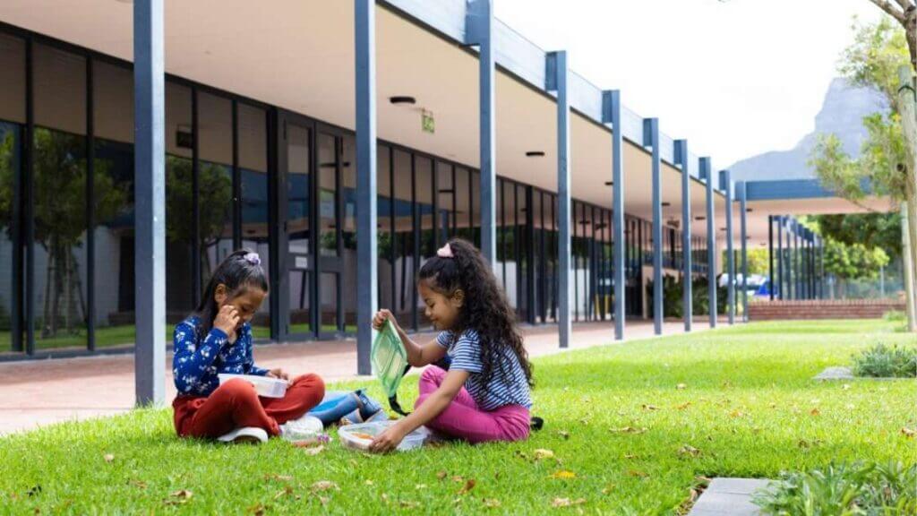 Caso de éxito: Guarderías CEDI, comunicación para familias 3 Agencia de marketing educativo en México