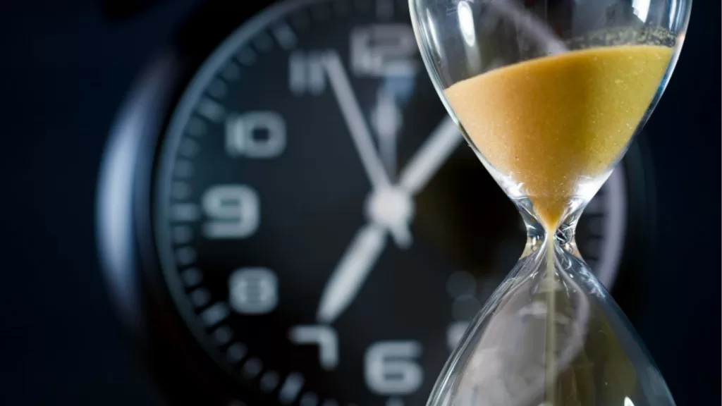 tinylab equipo creativo externo 5 1