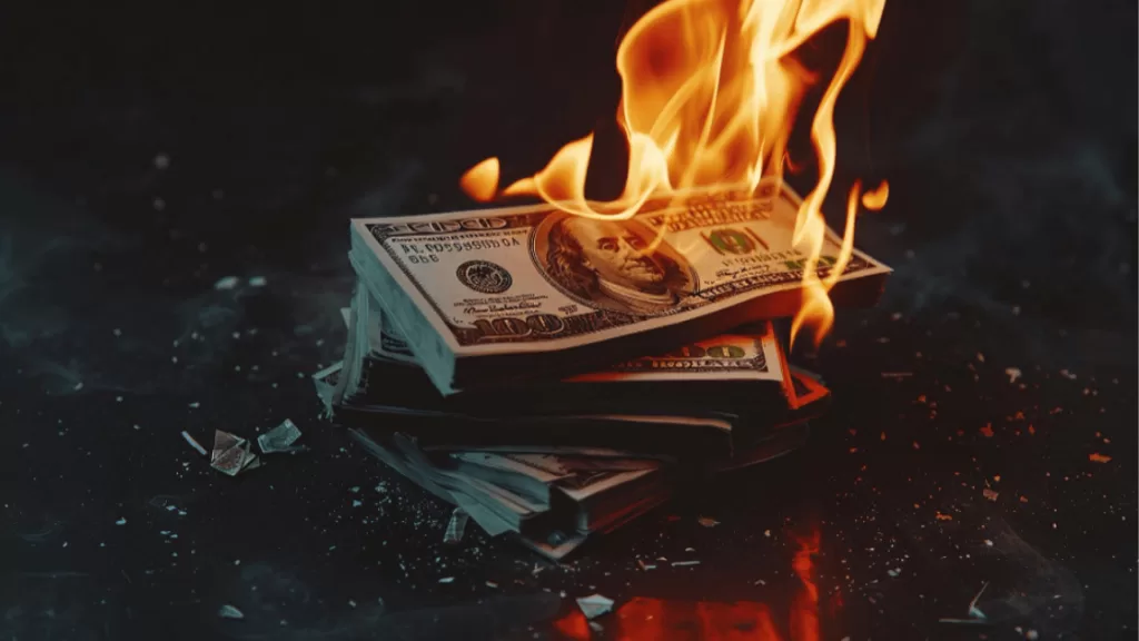 tinylab equipo creativo externo 6